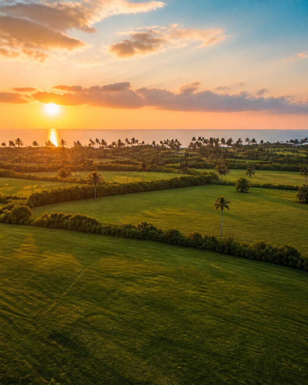 Aerial view of Florida land at sunset